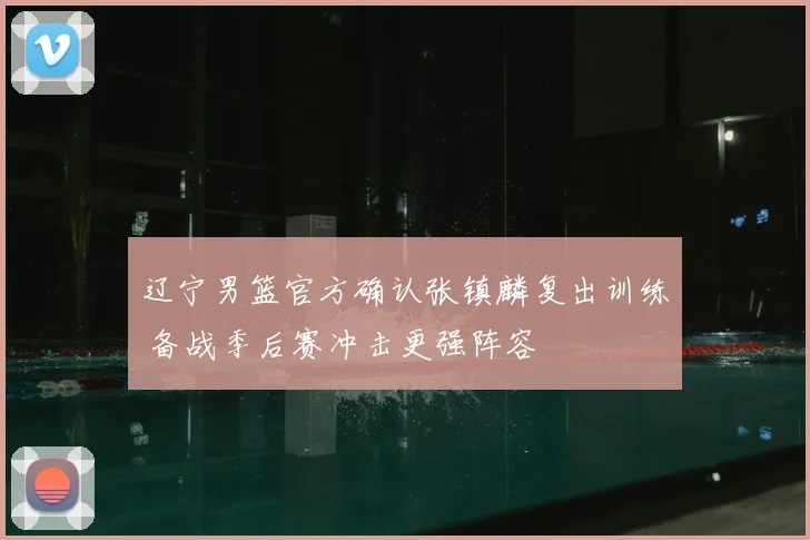 辽宁男篮官方确认张镇麟复出训练 备战季后赛冲击更强阵容